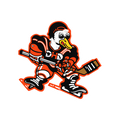 DHD Ducks Development 2026